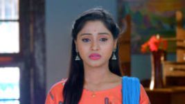 Paaru S01E328 18th February 2020 Full Episode