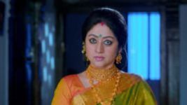 Paaru S01E329 19th February 2020 Full Episode
