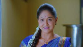 Paaru S01E332 24th February 2020 Full Episode