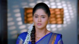 Paaru S01E333 25th February 2020 Full Episode