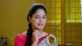 Paaru S01E334 26th February 2020 Full Episode