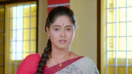 Paaru S01E336 28th February 2020 Full Episode
