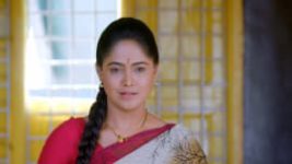 Paaru S01E338 3rd March 2020 Full Episode