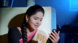 Paaru S01E347 16th March 2020 Full Episode