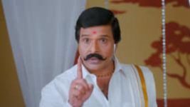 Paaru S01E352 23rd March 2020 Full Episode