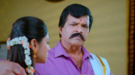 Paaru S01E357 30th March 2020 Full Episode