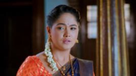 Paaru S01E361 3rd April 2020 Full Episode
