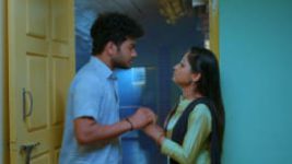 Paaru S01E365 9th April 2020 Full Episode