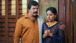 Paaru S01E369 3rd June 2020 Full Episode