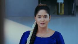 Paaru S01E377 15th June 2020 Full Episode
