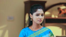 Paaru S01E380 18th June 2020 Full Episode