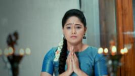 Paaru S01E387 26th June 2020 Full Episode