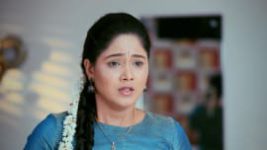 Paaru S01E388 27th June 2020 Full Episode