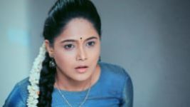 Paaru S01E389 29th June 2020 Full Episode