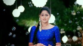 Paaru S01E394 4th July 2020 Full Episode
