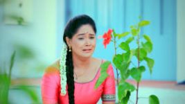Paaru S01E396 7th July 2020 Full Episode