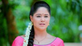 Paaru S01E397 8th July 2020 Full Episode