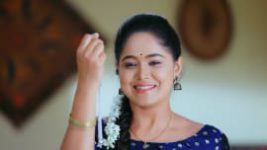 Paaru S01E404 16th July 2020 Full Episode