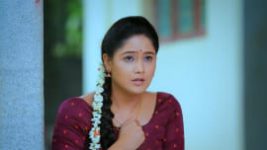 Paaru S01E417 31st July 2020 Full Episode
