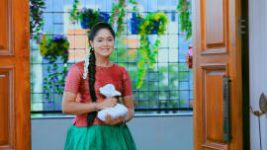 Paaru S01E419 3rd August 2020 Full Episode