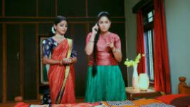Paaru S01E421 5th August 2020 Full Episode