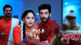 Paaru S01E435 22nd August 2020 Full Episode