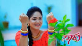 Paaru S01E438 26th August 2020 Full Episode
