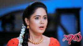 Paaru S01E439 27th August 2020 Full Episode