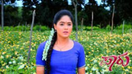 Paaru S01E460 23rd September 2020 Full Episode