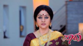 Paaru S01E477 16th October 2020 Full Episode