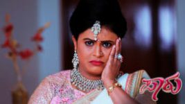 Paaru S01E480 22nd October 2020 Full Episode
