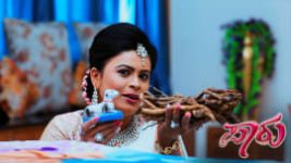 Paaru S01E481 23rd October 2020 Full Episode