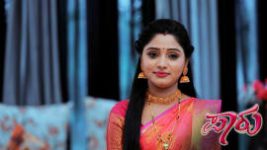 Paaru S01E482 26th October 2020 Full Episode