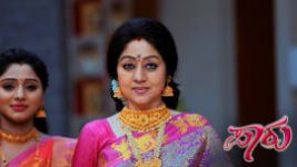 Paaru S01E483 27th October 2020 Full Episode