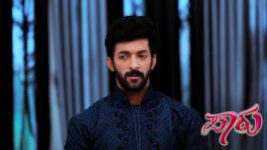 Paaru S01E484 28th October 2020 Full Episode