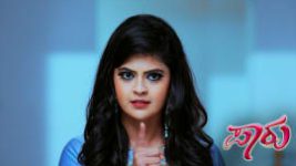 Paaru S01E486 30th October 2020 Full Episode