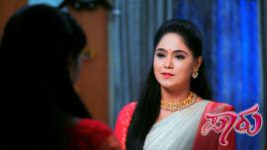 Paaru S01E487 2nd November 2020 Full Episode