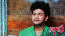 Paaru S01E488 3rd November 2020 Full Episode