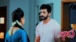 Paaru S01E490 5th November 2020 Full Episode