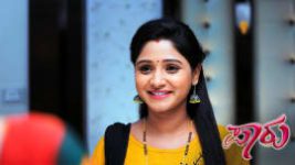 Paaru S01E491 6th November 2020 Full Episode