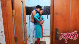 Paaru S01E493 10th November 2020 Full Episode