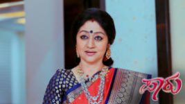 Paaru S01E528 29th December 2020 Full Episode