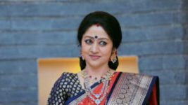 Paaru S01E529 30th December 2020 Full Episode