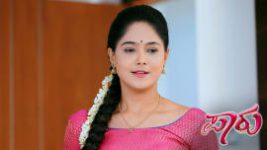Paaru S01E536 6th January 2021 Full Episode