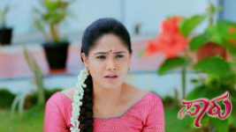 Paaru S01E537 8th January 2021 Full Episode