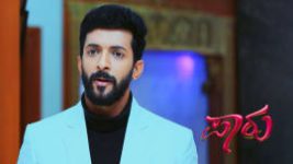 Paaru S01E538 11th January 2021 Full Episode