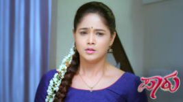Paaru S01E575 3rd March 2021 Full Episode