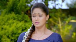 Paaru S01E577 5th March 2021 Full Episode