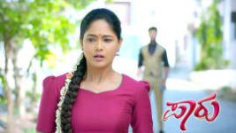 Paaru S01E581 11th March 2021 Full Episode