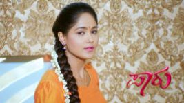 Paaru S01E586 18th March 2021 Full Episode